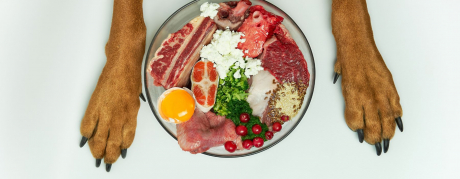 BARF Ernährung für Haustiere