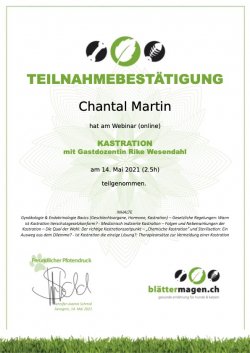 Webinar-Kastration-Teilnahmebestaetigung-Chantal-Martin.jpg